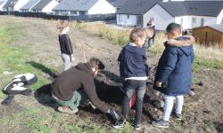 Plantations Cavalier   031